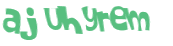 CAPTCHA 挑戰
