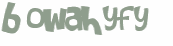 Captcha-test