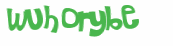 CAPTCHA 挑戰
