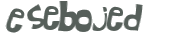 Captcha 챌린지