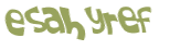 Sfida captcha