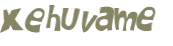 CAPTCHA 挑戰