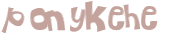 CAPTCHA 挑戰