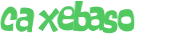 CAPTCHA 挑戰
