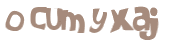 Desafio captcha