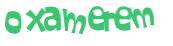 CAPTCHA 挑戰