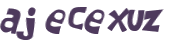 Wyzwanie captcha