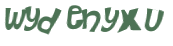 CAPTCHA 挑戰