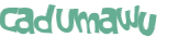 Wyzwanie captcha