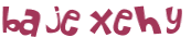 CAPTCHA 挑戰
