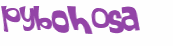 Captcha 챌린지
