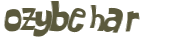 CAPTCHA 挑戰