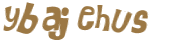 Captcha 챌린지