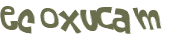 CAPTCHA 挑戰