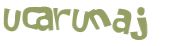 Wyzwanie captcha