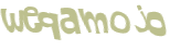 Wyzwanie captcha