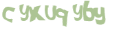 CAPTCHA 挑戰