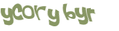 Captcha-Test