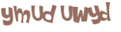 Wyzwanie captcha