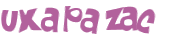 Wyzwanie captcha