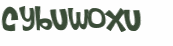 CAPTCHA 挑戰