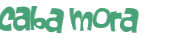 Captcha 챌린지