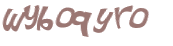 CAPTCHA 挑戰