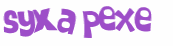 CAPTCHA 挑戰