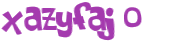 CAPTCHA 挑戰