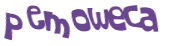 CAPTCHA 挑戰