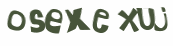 CAPTCHA 挑戰