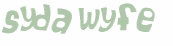 Wyzwanie captcha