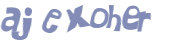 CAPTCHA 挑戰