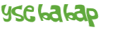 Captcha challenge