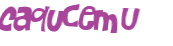 Captcha 챌린지