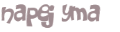 Captcha挑战