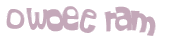 Desafio captcha
