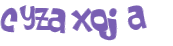 CAPTCHA 挑戰
