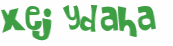 CAPTCHA 挑戰
