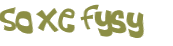 Sfida captcha