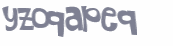 Captcha 챌린지