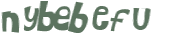 CAPTCHA 挑戰