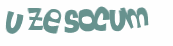 Captcha 챌린지