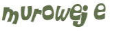 Wyzwanie captcha