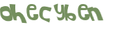 CAPTCHA 挑戰