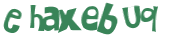 Captcha 챌린지