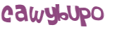 Captcha 챌린지