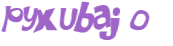 Desafio captcha