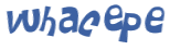 CAPTCHA 挑戰