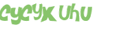 CAPTCHA 挑戰
